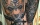 Neotraditional Tattoo, Fox Tattoo, Wolf Tattoo, Nouveau Tattoo, Tattoo Artist Berlin, Tätowierer Berlin
