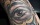 Neotraditional Tattoo, Eye Tattoo, Nouveau Tattoo, Tattoo Artist Berlin, Tätowierer Berlin