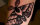 Moth Tatto, Blackwork Tattoo, small Tattoo, Tattoo Studio Berlin, Tattoo Berlin, Berlin Tattoo, Tattoo Artist Berlin