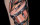 Neotraditional Snaredrum Tattoo, Drums Tattoo, Colourtattoo, Tattoo Studio Berlin, Tattoo Berlin, Berlin Tattoo, Tattoo Artist Berlin